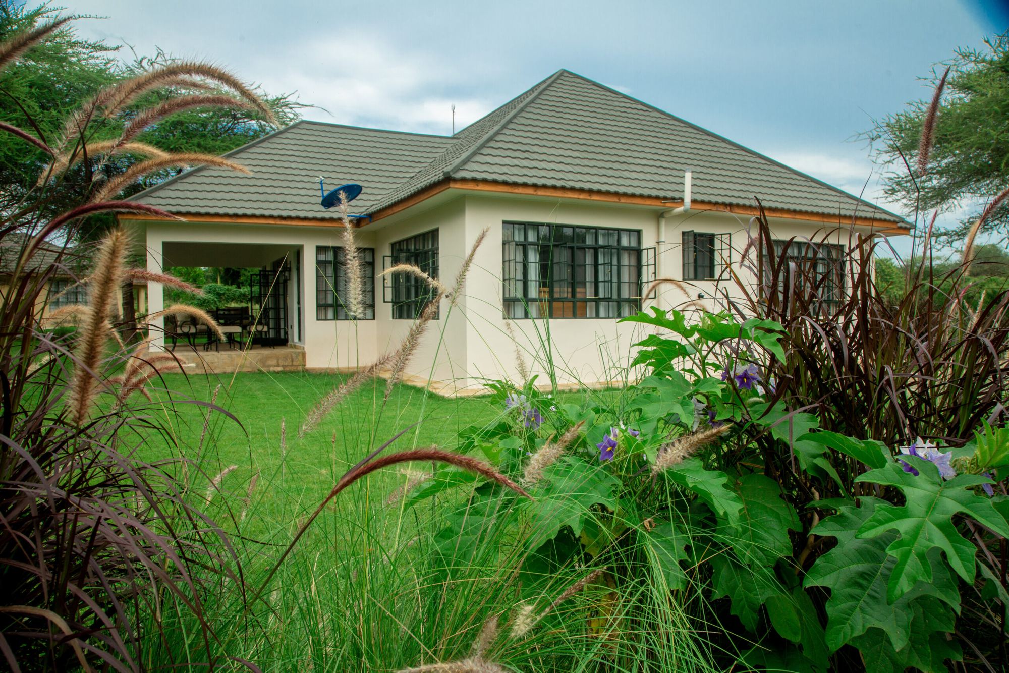 The cottage seen across the garden through tall grasses